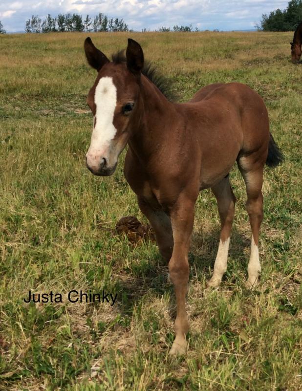 Image #5 (Justa Chinky (MAVERICK))